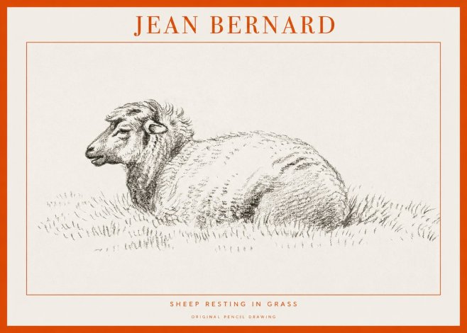 Jean Bernard Sheep Resting in Grass No1 - Poszter