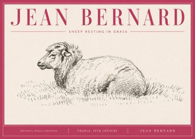 Jean Bernard Sheep Resting in Grass No4 - Poszter