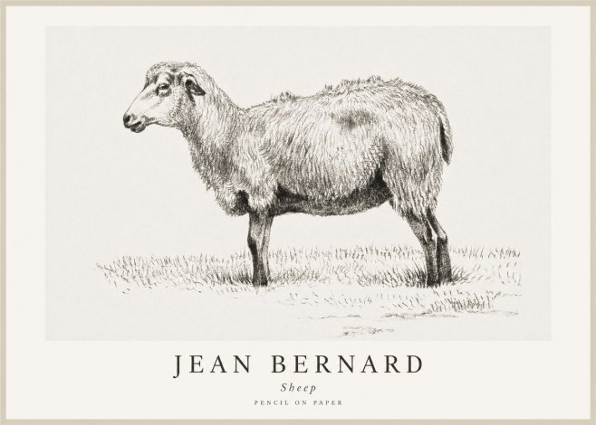 Jean Bernard Sheep No1 - Poszter