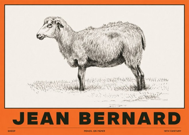 Jean Bernard Sheep No2 - Poszter