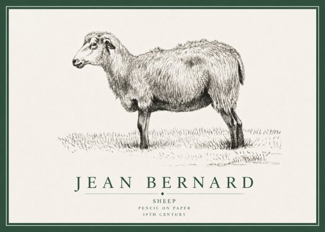 Jean Bernard Sheep No3 - Poszter