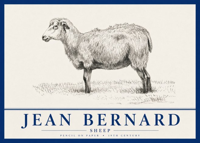 Jean Bernard Sheep No4 - Poszter