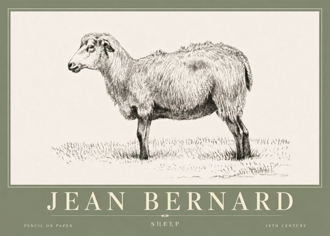 Jean Bernard Sheep No6 - Poszter