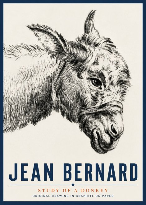 Jean Bernard Study of a Donkey I No5 - Poszter