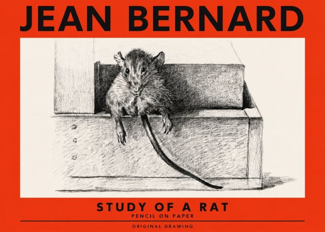 Jean Bernard Study of a Rat I No2 - Poszter