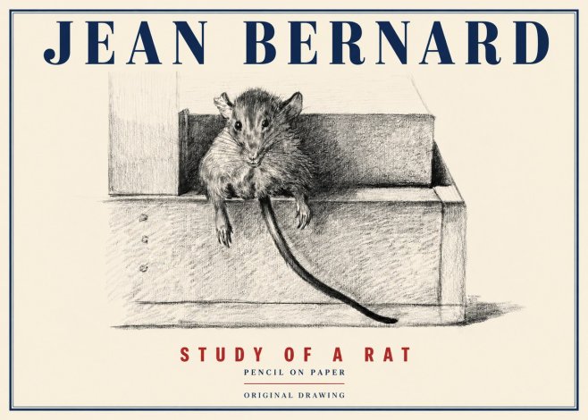 Jean Bernard Study of a Rat I No4 - Poszter