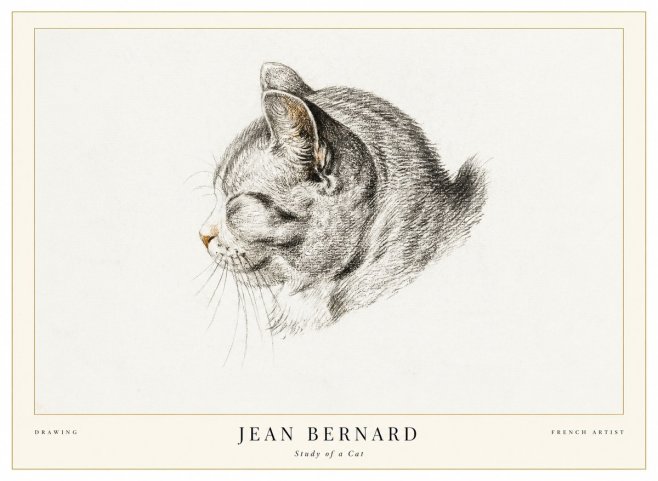 Jean Bernard Study of a Cat I No1 - Poszter
