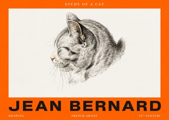 Jean Bernard Study of a Cat I No2 - Poszter