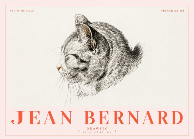 Jean Bernard Study of a Cat I No5 - Poszter