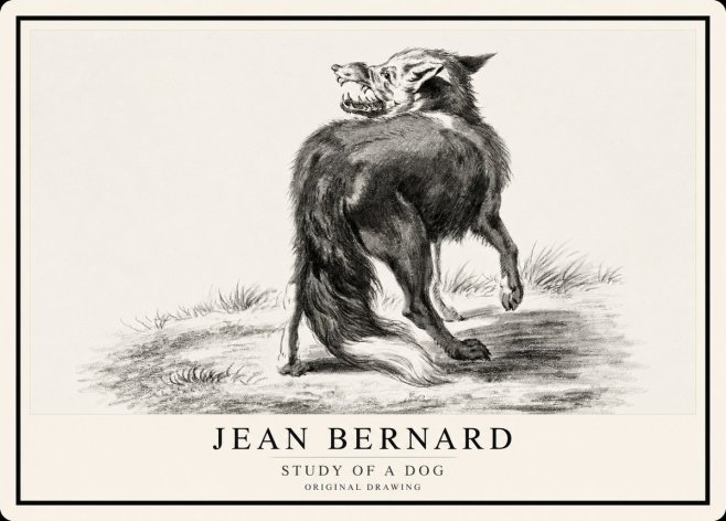 Jean Bernard Study of a Dog II No1 - Poszter