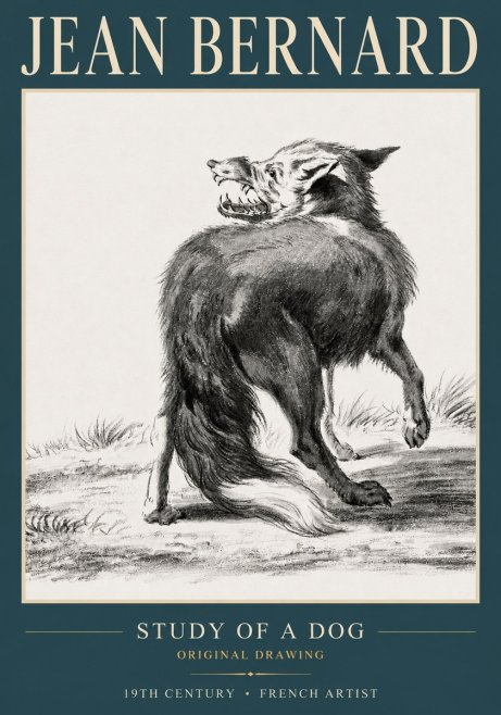 Jean Bernard Study of a Dog II No3 - Poszter