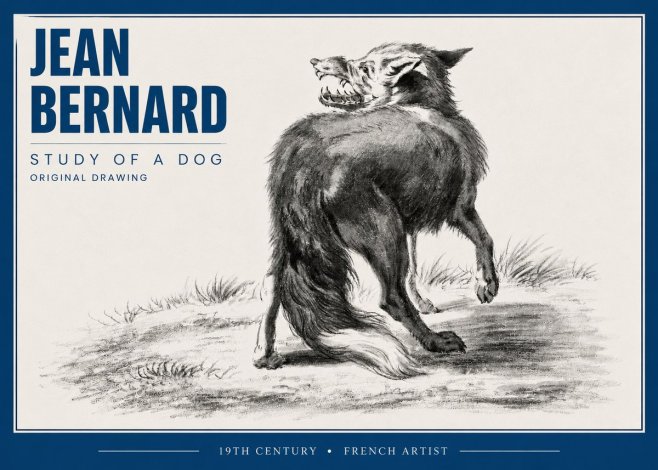 Jean Bernard Study of a Dog II No4 - Poszter