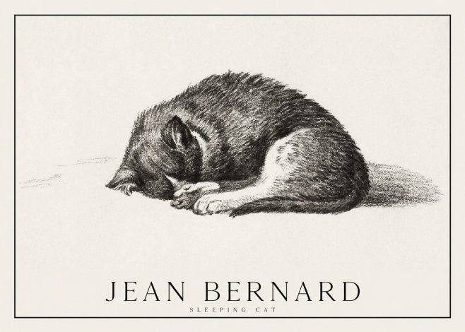 Jean Bernard Sleeping Cat III No1 - Poszter