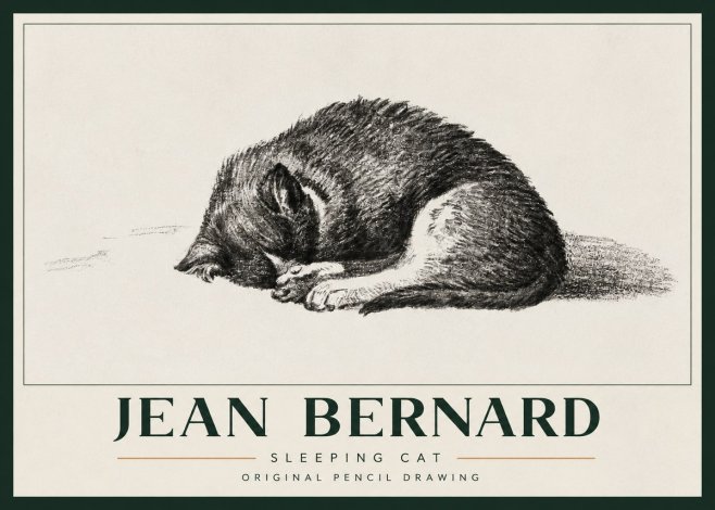 Jean Bernard Sleeping Cat III No3 - Poszter