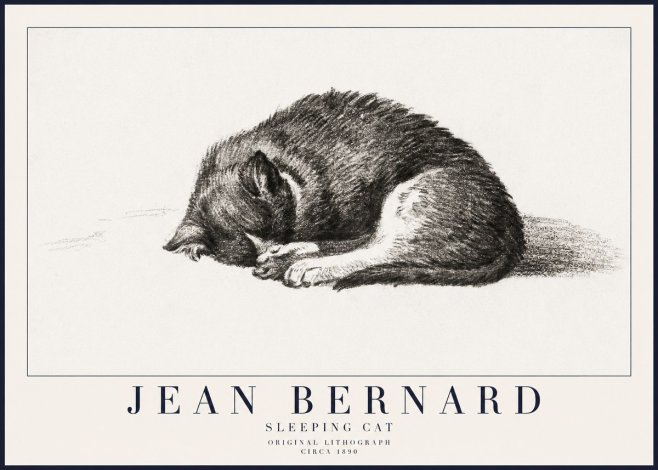 Jean Bernard Sleeping Cat III No6 - Poszter