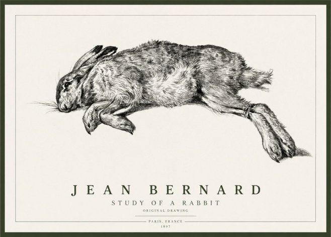 Jean Bernard Study of a Rabbit No1 - Poszter