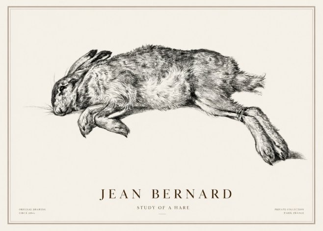 Jean Bernard Study of a Rabbit No3 - Poszter