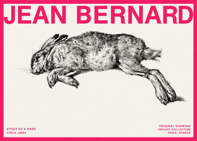 Jean Bernard Study of a Rabbit No4 - Poszter