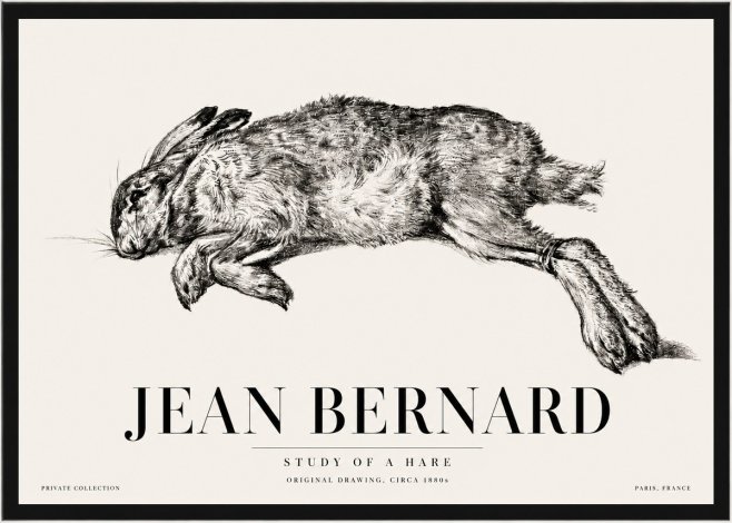 Jean Bernard Study of a Rabbit No5 - Poszter