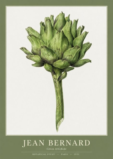Jean Bernard Green Artichoke No1 - Poszter