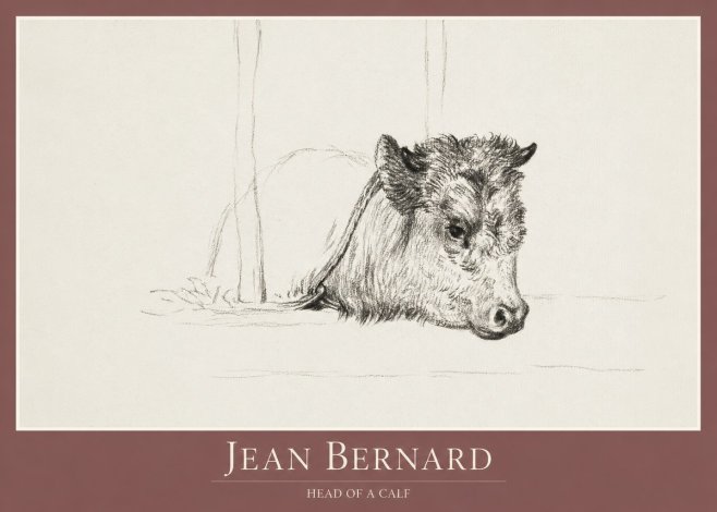 Jean Bernard Study of a Calf I No2 - Poszter
