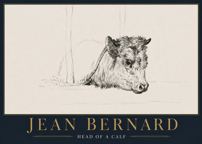 Jean Bernard Study of a Calf I No5 - Poszter