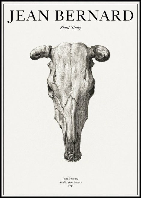 Jean Bernard Skull Study No1 - Poszter
