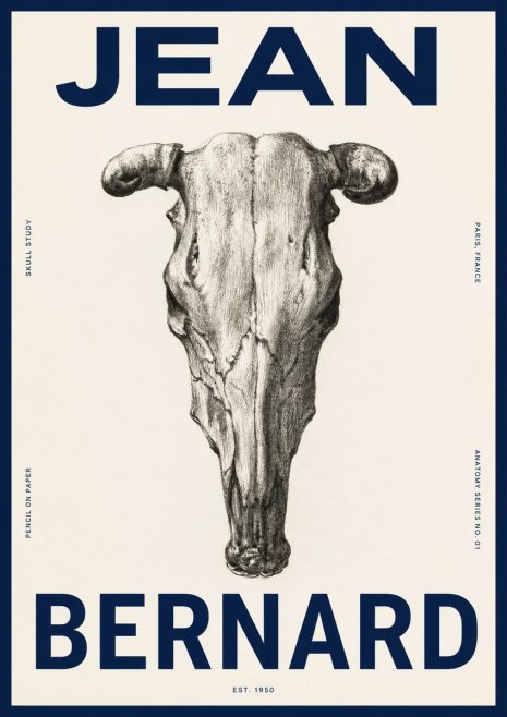 Jean Bernard Skull Study No4 - Poszter