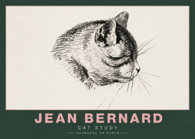 Jean Bernard Cat Study IV No4 - Poszter