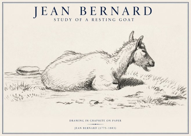 Jean Bernard Study of a Resting Goat No1 - Poszter