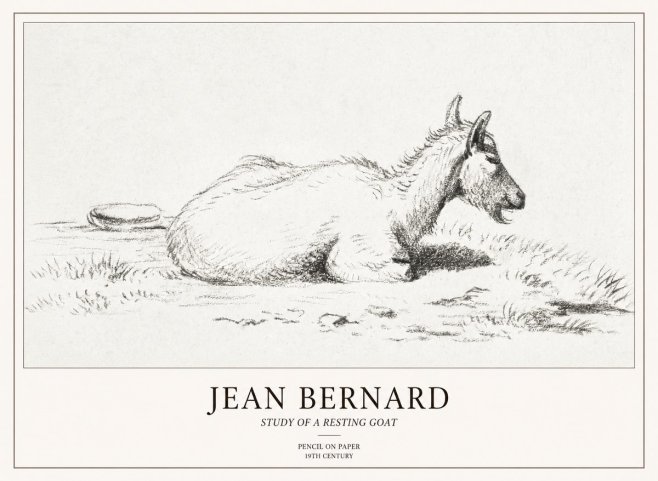 Jean Bernard Study of a Resting Goat No2 - Poszter