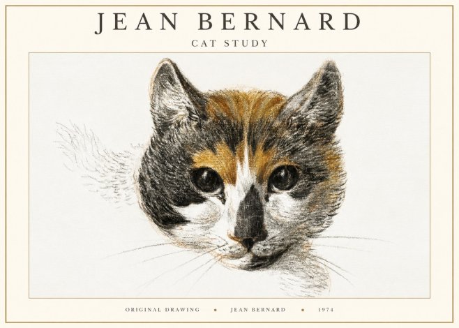 Jean Bernard Study of a Cat II No3 - Poszter