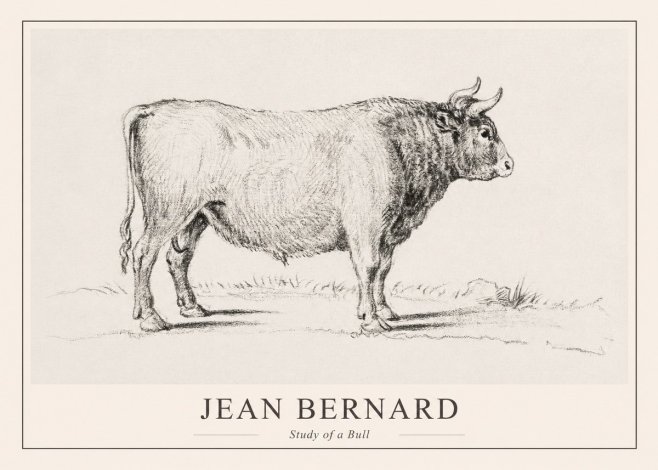 Jean Bernard Study of a Bull I No1 - Poszter