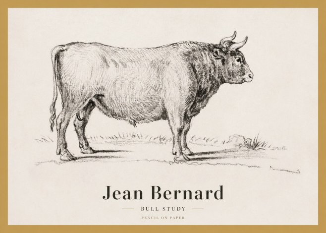 Jean Bernard Study of a Bull I No4 - Poszter