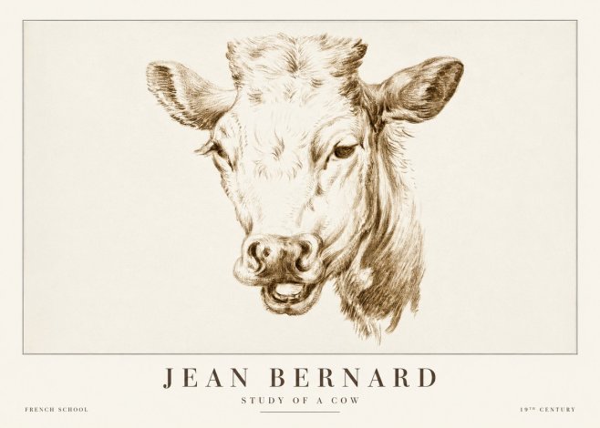 Jean Bernard Study of a Cow IV No2 - Poszter