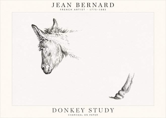 Jean Bernard Study of a Donkey II No2 - Poszter