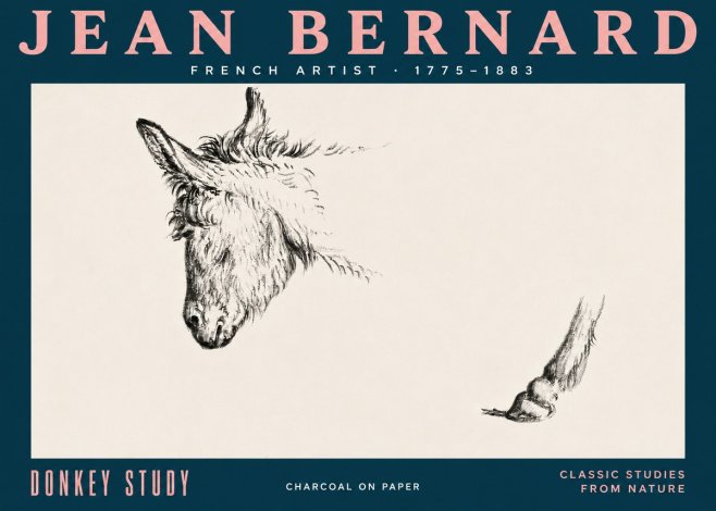 Jean Bernard Study of a Donkey II No5 - Poszter