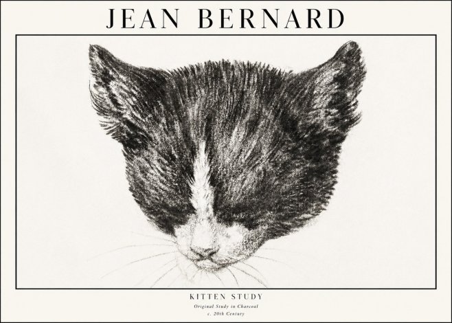 Jean Bernard Cat Study V No4 - Poszter