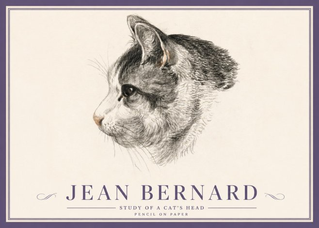Jean Bernard Cat Study, Profile No5 - Poszter