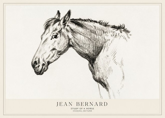 Jean Bernard Study of a Horse VI No1 - Poszter