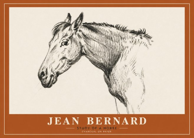 Jean Bernard Study of a Horse VI No2 - Poszter