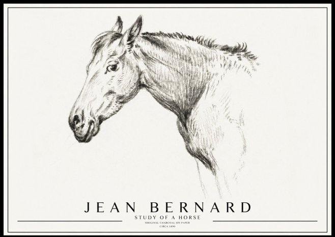 Jean Bernard Study of a Horse VI No3 - Poszter