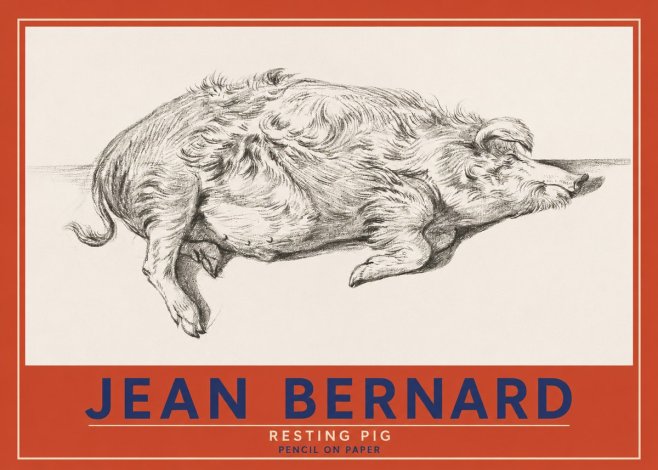 Jean Bernard Study of a Pig I No4 - Poszter