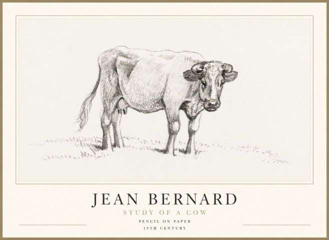 Jean Bernard Study of a Cow V No1 - Poszter