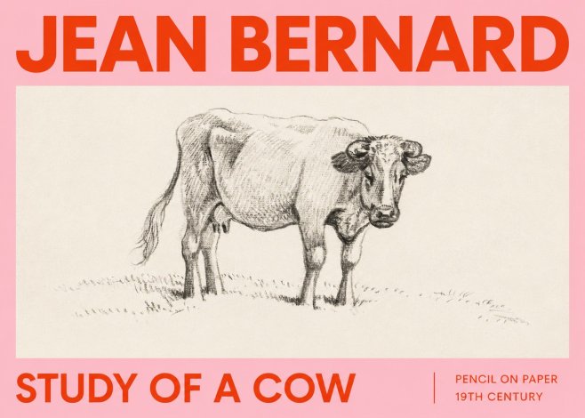 Jean Bernard Study of a Cow V No2 - Poszter