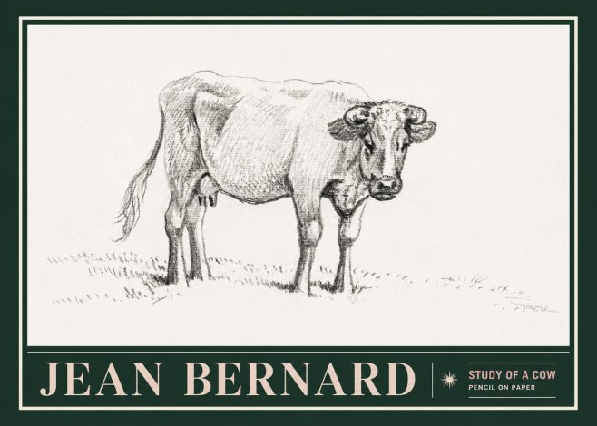 Jean Bernard Study of a Cow V No5 - Poszter