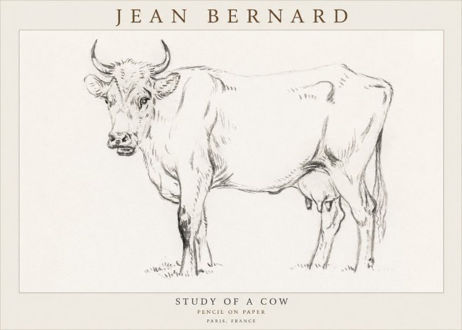 Jean Bernard Study of a Cow VI No3 - Poszter