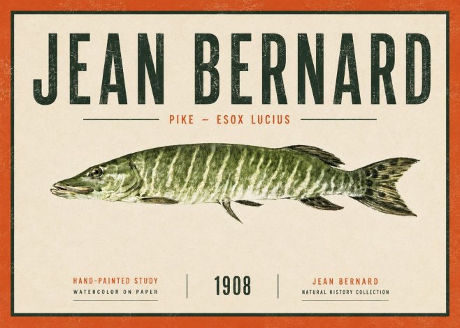 Jean Bernard Northern Pike No6 - Poszter
