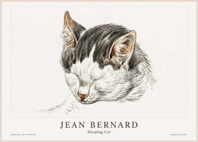 Jean Bernard Sleeping Cat V No1 - Poszter