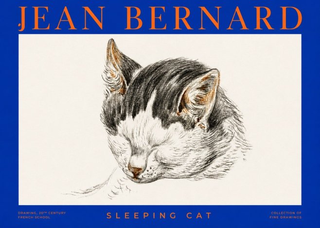 Jean Bernard Sleeping Cat V No2 - Poszter